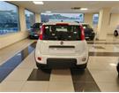 Autopompei srl
